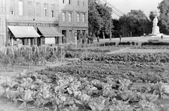 Hungary, Budapest I., Döbrentei utca vége, háttérben Gömbös Gyula szobra., 1942, Fortepan, sculpture, agriculture, pastry shop, Budapest, awning, Fortepan #8464