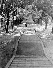 Magyarország, Budapest II., Rét utca., 1952, Fortepan, lépcső, Budapest, Fortepan #8466