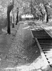 Magyarország, Budapest II., Rét utca., 1952, Fortepan, lépcső, Budapest, Fortepan #8467