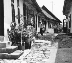 1976, Magyar Hírek folyóirat, poverty, yard, cactus, aerial, building, watering can, Fortepan #84681