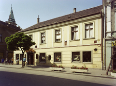 Magyarország, Székesfehérvár, Fő (Március 15.) utca 1., Juhász Gyula utca sarok, háttérben a Szent Imre-templom tornya., 1975, Kádas Tibor, színes, cégtábla, bisztró, neon felirat, Fortepan #84878