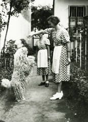 1935, Császy Alice, kutya, Fortepan #85175