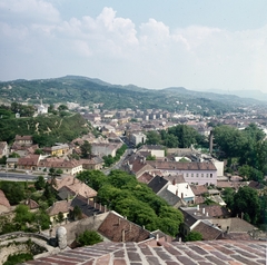 Magyarország, Esztergom, kilátás a várhegyről a város felé, balra a Szent Tamás-hegy., 1980, Erdei Katalin, színes, Fortepan #85473