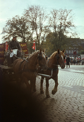 1963, Lőw Miklós, színes, ló, fogat, Fortepan #85601