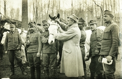 1917, Moravecz János, First World War, horse, soldier, Fortepan #85706