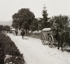 1916, Schmidt Albin, első világháború, ló, fogat, lovaglás, olasz front, Fortepan #85999