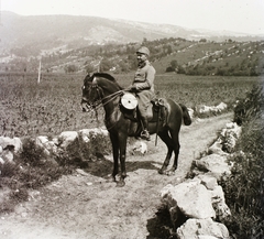 1916, Schmidt Albin, First World War, horse, landscape, rider, Fortepan #86007