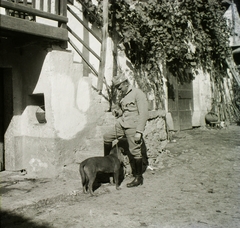 1916, Schmidt Albin, első világháború, kutya, katona, Fortepan #86106