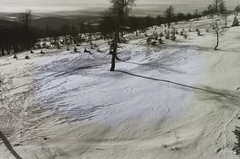 1939, Schmidt Albin, snow, hillside, Fortepan #86213