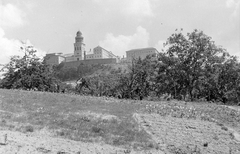 Magyarország, Pannonhalma, Bencés Főapátság., 1971, Gyöngyi, vallás, bencés rend, Fortepan #8626