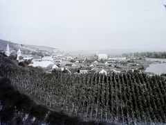 Hungary, Tokaj, a város látképe, jobbra a Bodrog., 1908, Magyar Földrajzi Múzeum / Erdélyi Mór cége, vine hill, synagogue, Fortepan #86439