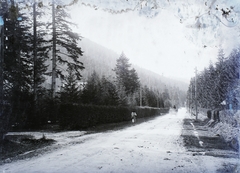 Slovakia,High Tatras, Hrušov, Barlangliget üdülőhely (ekkor Szepesbélához tartozott, ma a város része)., 1912, Magyar Földrajzi Múzeum / Erdélyi Mór cége, Fortepan #86442