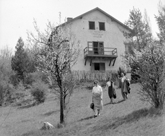 Hungary, Verőce, (Nógrádverőce), Magyarkút, MÁVAG üdülő., 1955, Gyöngyi, resort, Fortepan #8681