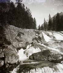 Szlovákia,Magas-Tátra, Ótátrafüred, Tar-pataki vízesés., 1911, Magyar Földrajzi Múzeum / Erdélyi Mór cége, erdő, vízesés, Tátra hegység, Fortepan #86838