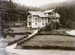 Szlovákia, Poprád, Virágvölgy, Svájci villa., 1906, Magyar Földrajzi Múzeum / Erdélyi Mór cége, erdő, hegy, villa, Tátra hegység, Fortepan #86848