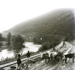 Ukrajna,Kárpátalja, Kőrösmező, vasútvonal a Fekete-Tisza parján a település közelében., 1907, Magyar Földrajzi Múzeum / Erdélyi Mór cége, vasút, folyó, népviselet, ökörfogat, gatya, paraszt, Fortepan #86857