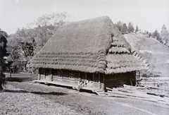 Ukrajna,Kárpátalja, Kisszolyva, garádos tetejű, rutén parasztház., 1907, Magyar Földrajzi Múzeum / Erdélyi Mór cége, paraszt, faház, zsúptető, gerenda, Fortepan #86858