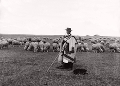 Magyarország, Hortobágy, juhász., 1908, Magyar Földrajzi Múzeum / Erdélyi Mór cége, pipa, juh, pásztor, nyáj, szűr, pásztorbot, pásztorkutya, cifraszűr, pumi, Fortepan #86882