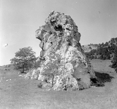 Magyarország, Pilis hegység, Piliscsaba, Ördögoltár., 1949, Gyöngyi, szikla, Fortepan #8698