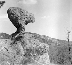 Magyarország, Pilis hegység, Piliscsaba, Gomba-szikla., 1949, Gyöngyi, szikla, Fortepan #8699