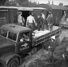 Magyarország, 1970, Urbán Tamás, teherautó, Csepel-márka, vagon, rakodás, Volán-szervezet, félmeztelen, Fortepan #87186