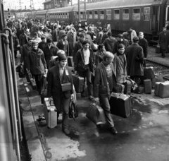 Magyarország, Budapest VI., Nyugati pályaudvar, az NDK-beli tanulmányútról hazaérkező fiatalok., 1970, Urbán Tamás, bőrönd, utazás, pályaudvar, vasútállomás, Budapest, Fortepan #87240