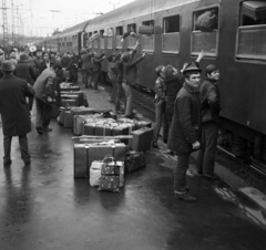 Magyarország, Budapest VI., Nyugati pályaudvar, az NDK-beli tanulmányútról hazaérkező fiatalok., 1970, Urbán Tamás, bőrönd, utazás, pályaudvar, vasútállomás, Budapest, Fortepan #87243