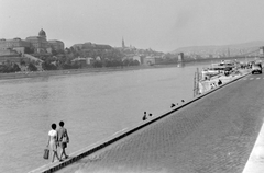 Magyarország, Budapest V., budai Vár és a Széchenyi Lánchíd a pesti rakpartról., 1966, Gyöngyi, híd, rakpart, kockakő, Duna, Budapest, függőhíd, William Tierney Clark-terv, Fortepan #8727