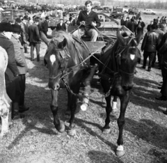 Magyarország, Pilis, Vásártér., 1971, Urbán Tamás, Fortepan #87316