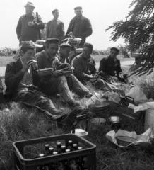 Magyarország, Tura, a Galgamente Termelőszövetkezet aratói ebédszüneten., 1971, Urbán Tamás, étkezés, sör, mezőgazdaság, aratás, rekesz, Fortepan #87370