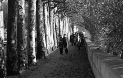 France, Paris, Quai des Tuileries a Pont de la Concorde felől nézve., 1971, Urbán Tamás, autumn, Fortepan #87505