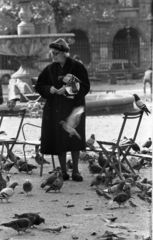 France, Paris, Place des Vosges., 1971, Urbán Tamás, dove, bird feeding, Fortepan #87532