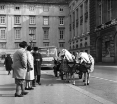 Austria, Vienna, Heldenplatz, háttérben a Hofburg., 1971, Urbán Tamás, Horse-drawn carriage, Fortepan #87540