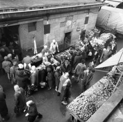 Hungary, Budapest VII., Garay téri piac., 1971, Urbán Tamás, market, greengrocer, Budapest, Fortepan #87573