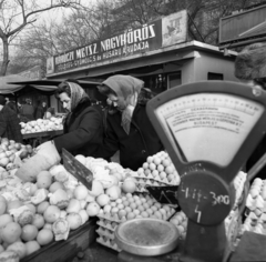 Hungary, Budapest XIII., Lehel (Élmunkás) tér, piac. Háttérben a Bulcsú utca épületei., 1971, Urbán Tamás, market, greengrocer, egg, Budapest, Fortepan #87575