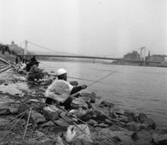 Hungary, Budapest XI., budai alsó rakpart a Szabadság hídtól az Erzsébet híd felé nézve., 1972, Urbán Tamás, fishing, Budapest, suspension bridge, Duna-bridge, Pál Sávoly-design, Fortepan #87596