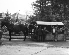 Hungary, Fót, Gyermekváros., 1972, Urbán Tamás, Horse-drawn carriage, bucket, garbage truck, Fortepan #87639