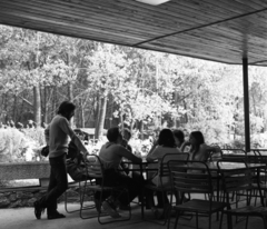 Hungary, Verőce, Express Diák és Ifjúsági Üdülőtábor, étterem., 1972, Urbán Tamás, restaurant, camp, Fortepan #87653