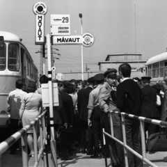 Hungary, Székesfehérvár, Verseci utcai autóbusz-állomás a Könnyűfémműnél., 1972, Urbán Tamás, Ikarus-brand, MÁVAUT-organisation, Ikarus 620, bus terminal, bus stop, Fortepan #87674