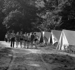 Hungary, Verőce, Express Diák és Ifjúsági Üdülőtábor., 1972, Urbán Tamás, tent, Fortepan #87719