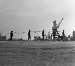 Hungary, Balatonfüred, Magyar Hajó- és Darugyár Balatonfüredi Gyáregysége., 1972, Urbán Tamás, crane, Fortepan #87739