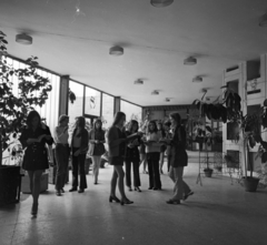 1972, Urbán Tamás, school, indoor plants, atrium, school uniform, Fortepan #87760