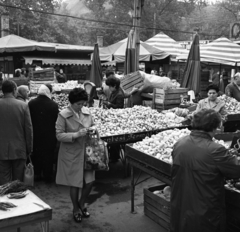 Hungary, Budapest XIII., Lehel (Élmunkás) téri piac., 1972, Urbán Tamás, market, Budapest, greengrocer, scale, sunshades, Fortepan #87889