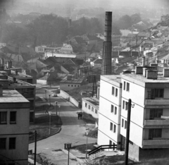 Hungary, Esztergom, szemben a Magyary László utca, távolabb az egykori zsinagóga kupolája látszik., 1972, Urbán Tamás, factory chimney, Fortepan #87930