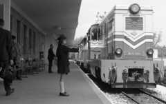 Hungary, Budapest II., a Gyermekvasút (Úttörővasút) végállomása., 1973, Urbán Tamás, rail, railroader, MÁV MK45 series, Children's railway, Budapest, Fortepan #88062