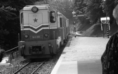 Hungary, Budapest II., a Gyermekvasút (Úttörővasút) végállomása., 1973, Urbán Tamás, Children's railway, Budapest, Fortepan #88065