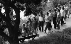 Hungary, 1973, Urbán Tamás, walk, youth, Fortepan #88103