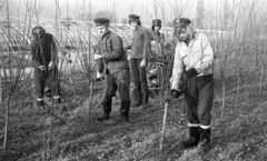 Magyarország, Sopron, Erdészeti, Faipari Szakközépiskola erdész tanulói a csemetekertben., 1974, Urbán Tamás, facsemete, gumicsizma, Fortepan #88504