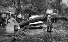 Hungary, Budapest VIII., a Stáhly utca, a felvétel az 1975. július 19-i vihar után készült., 1975, Urbán Tamás, firefighter, rain, number plate, Budapest, jerry can, fallen tree, Fortepan #88610