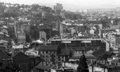 Hungary, Budapest II., kilátás a budai Vár felől a Víziváros és a Rózsadomb felé. A kép közepén a Budai (Országúti) Ferencesek temploma., 1975, Urbán Tamás, roof, Budapest, Fortepan #88612